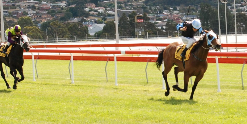 The Cleaner finishes well clear of Geegees Blackflash in the 2012 Tasmania Stakes