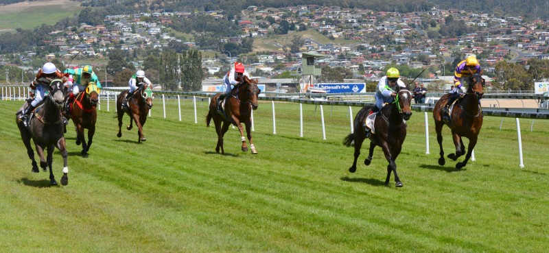 Umpire (left) gets up to defeat stablemate Our Anna at Tattersall's Park