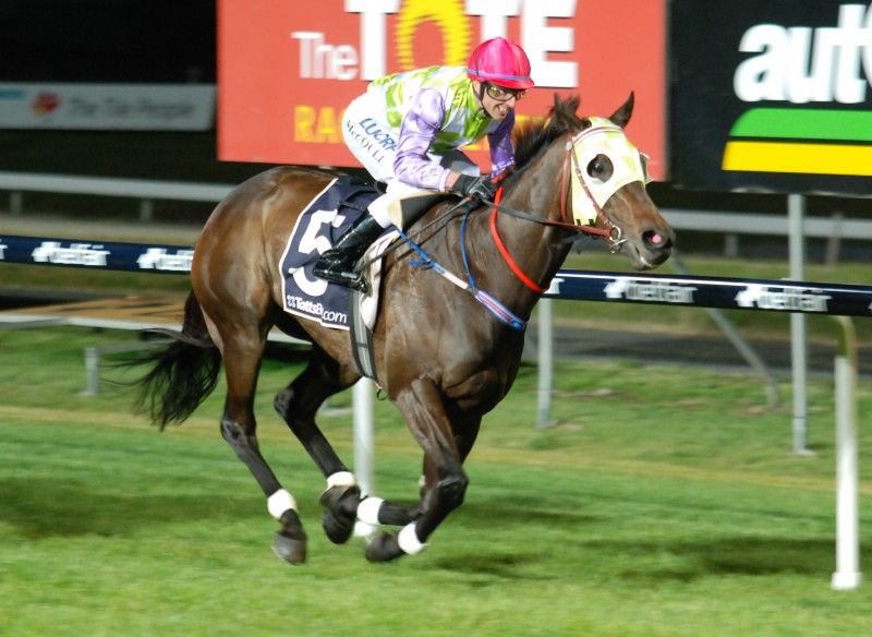 Black 'N' Tough and Brendon McCoull win the 2013 Newmarket Handicap