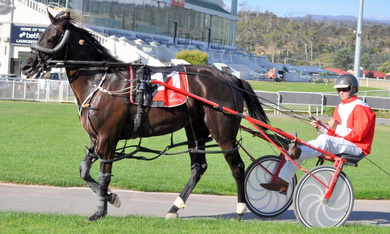 Fuscienne (Todd Rattray) after winning J Boags & Son Pace in Launceston 2200m