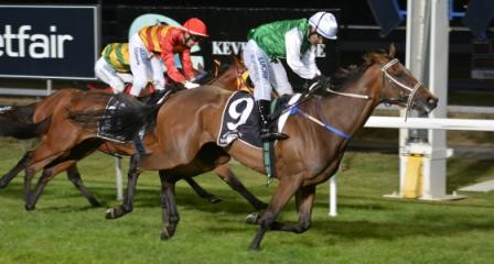 Perplexing (David Pires) wins a MB62 Hcp over 1600m in Launceston on NY Eve