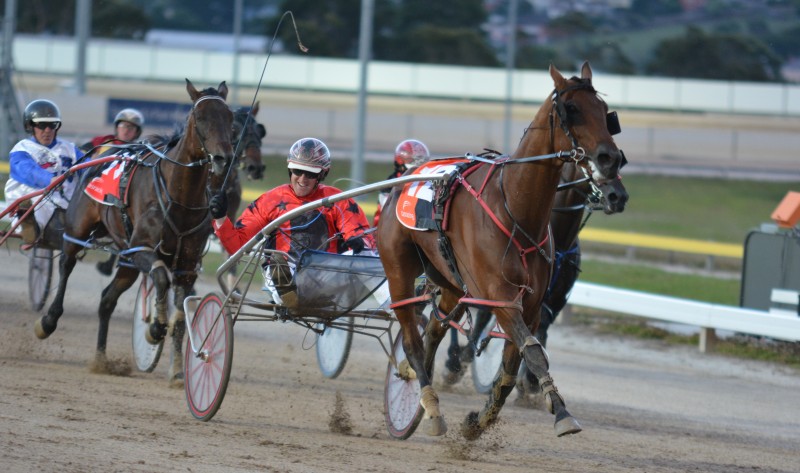 Star Chamber (Nathan Ford) easily wins Hobart Pacing Cup
