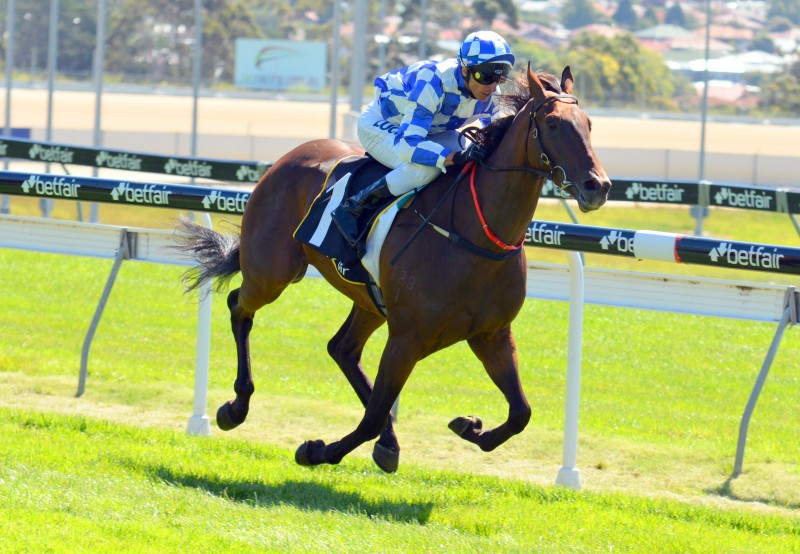 Admiral (Brendon McCoull) easily wins the $100,000 Tasmanian Guineas in Hobart 
