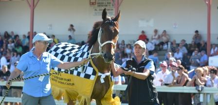 The Cleaner parades in front of the Longford Cup Day crowd