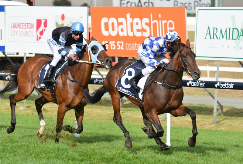 Admiral storms past The Cleaner to win the George Adams Plate