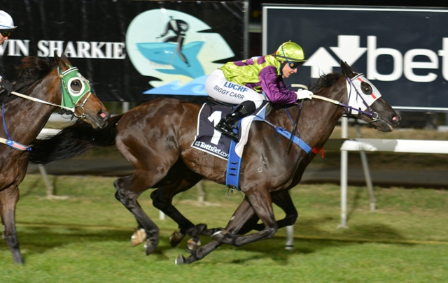 Siggy Carr guides Geegees Blackflash to victory in the weight-for-age Conquering Stakes. in 2014.