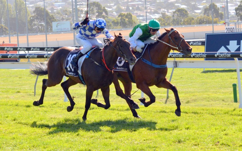 Streetwise Savoire (Anthony Darmanin) outguns Admiral (Brendon McCoull) in Thomas Lyons