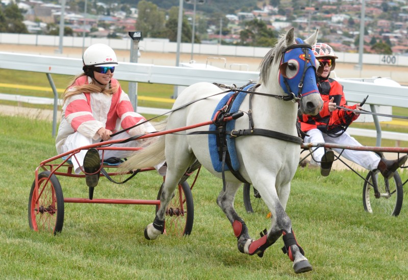 Super Syd with Isobelle Burdon in the sulky wins the Pony Trot race at Tattersall's Park in Hobart