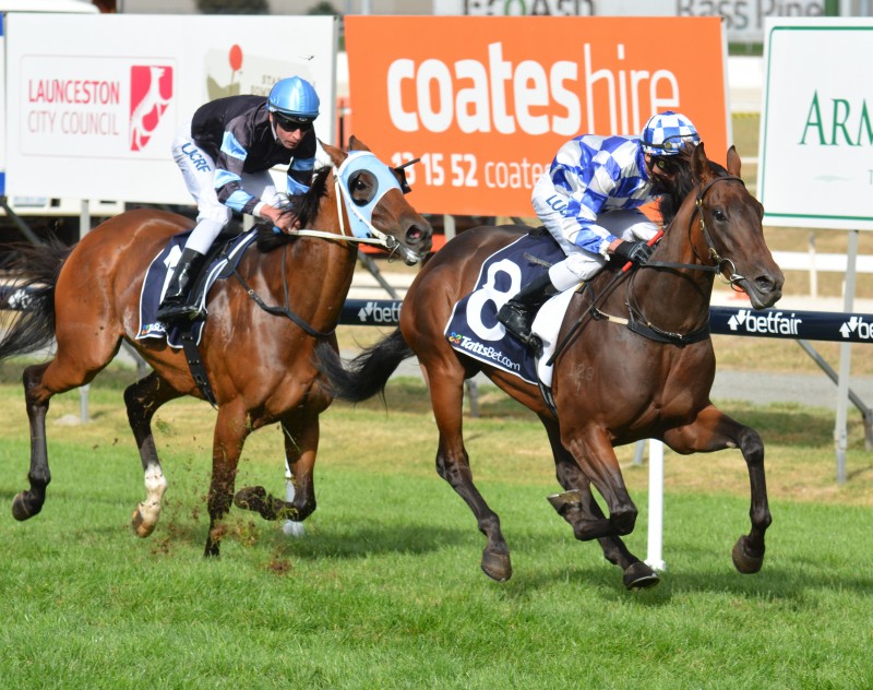 Admiral (Brendon McCoull) powers past The Cleaner to win the George Adams Plate