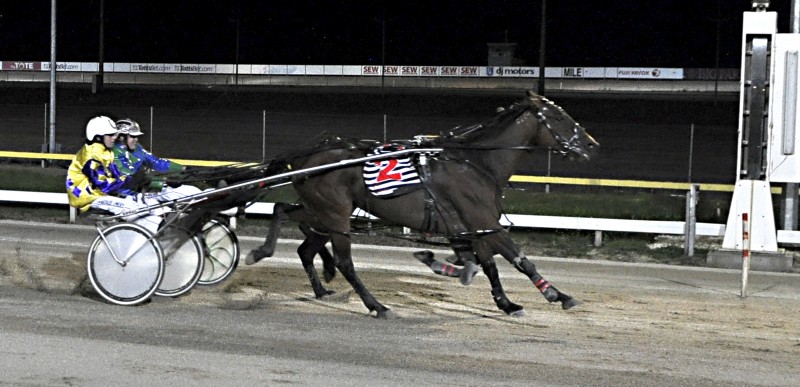 Ardlussa Express (Natalie Emery) gets up to defeat Motu Crusader in the Governor's Cup - photo courtesy of Milton Pettit
