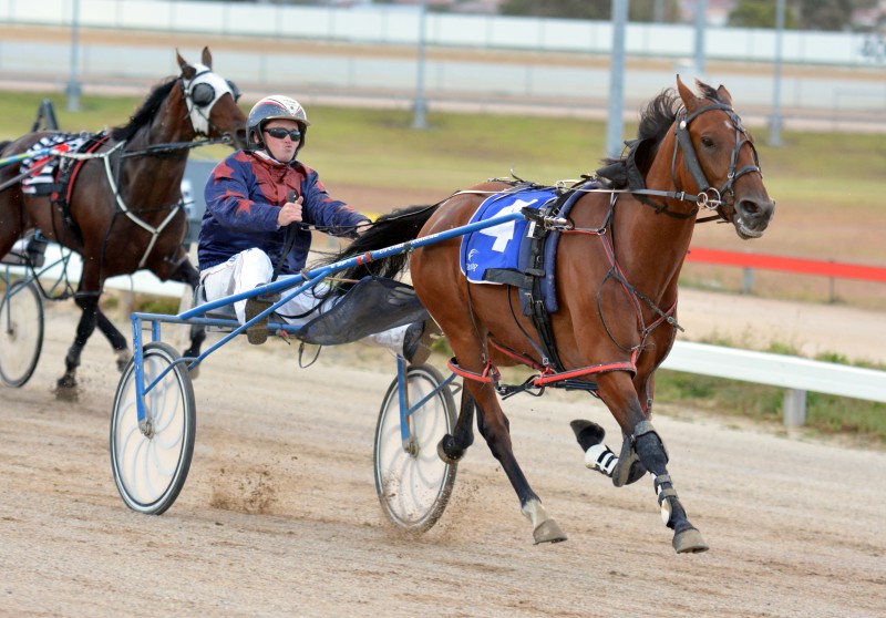 Mister Lennox storms home to win a C2-C4 in Hobart on Sunday