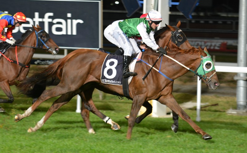Rose of Innocence (David Pires) gets up to defeat Smoke 'N' Whisky in a BM72 over 1600m in Launceston last night