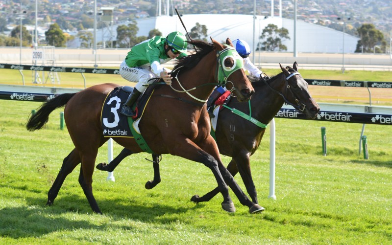 Blu To Be Sure (Kyle Maskiell) gets up to defeat Because in 1100m maiden in Hobart