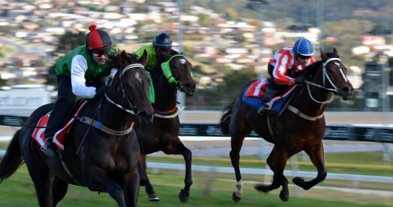 Tougher Than Ever (David Pires) storms down the outside to win a 900m trial at Tattersall's Park in Hobart last week