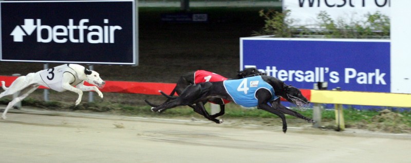 Vague Intention defeats Dark Vito in a grade four in Hobart over 461m clocking 26.35
