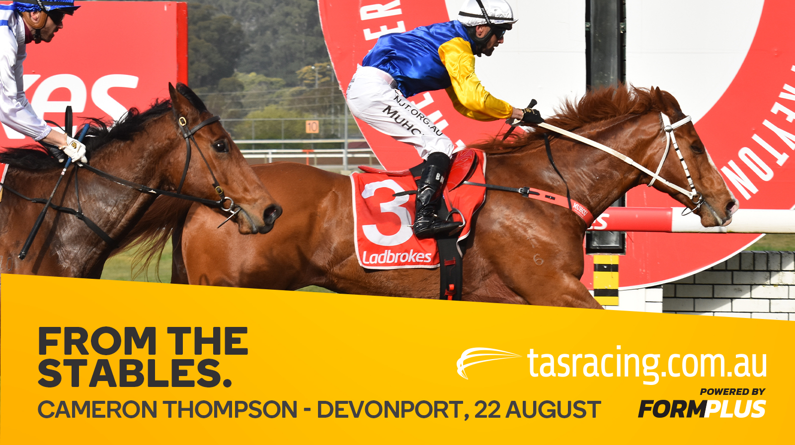 From the Stables – Devonport, 22 August