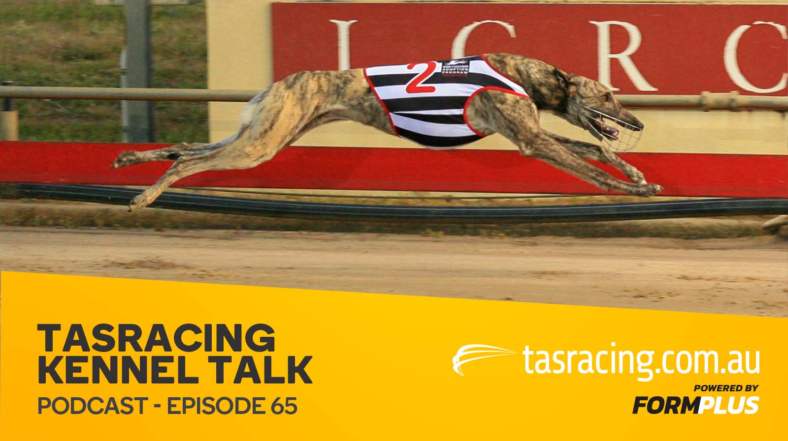 Kennel talk – Episode 65
