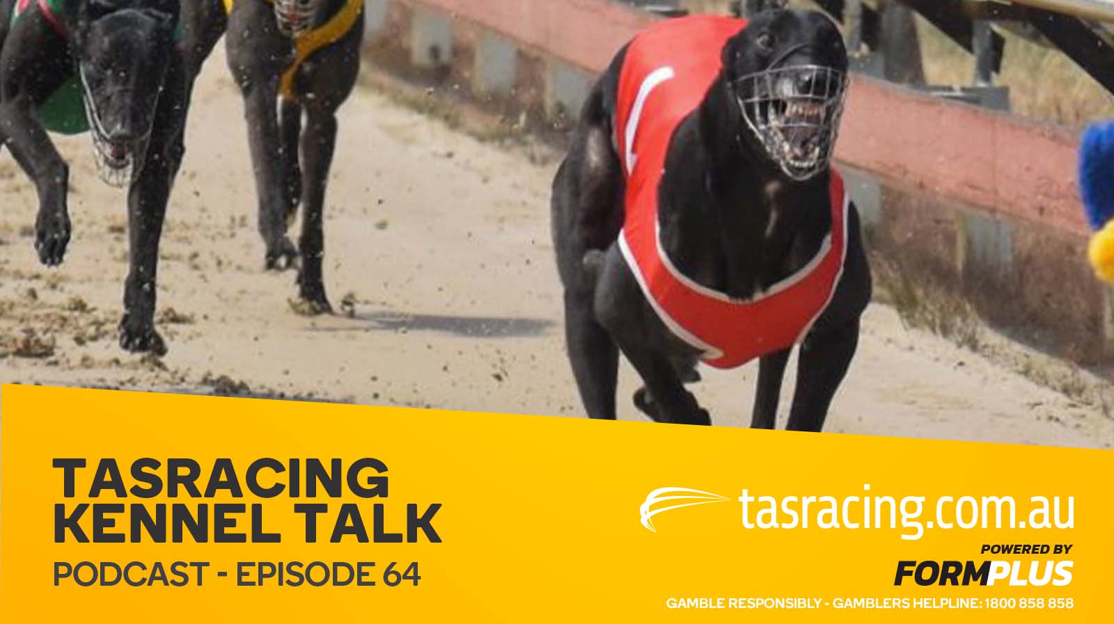 Kennel talk – Episode 64
