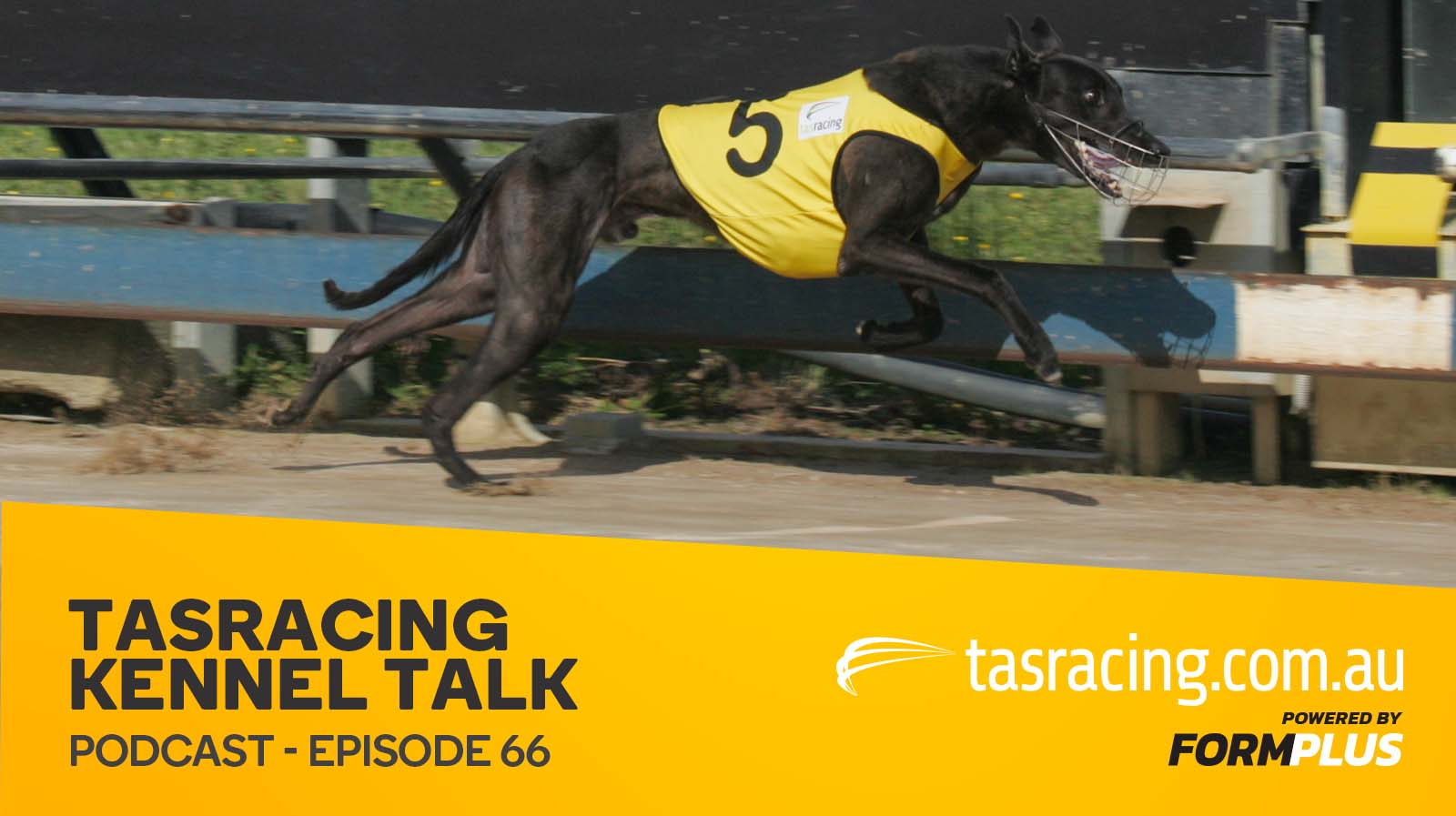 Kennel talk – episode 66