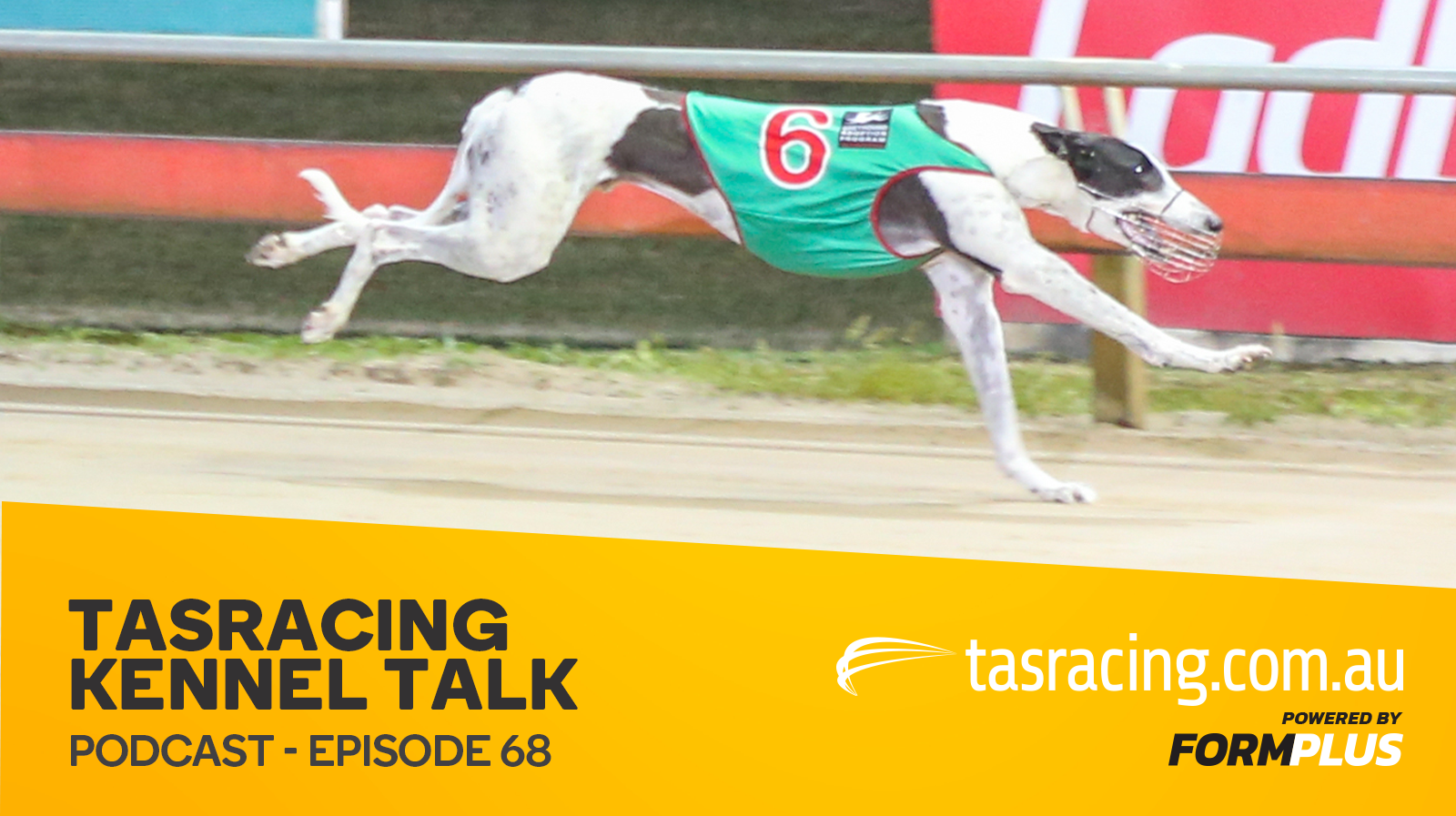 Kennel talk – Episode 68