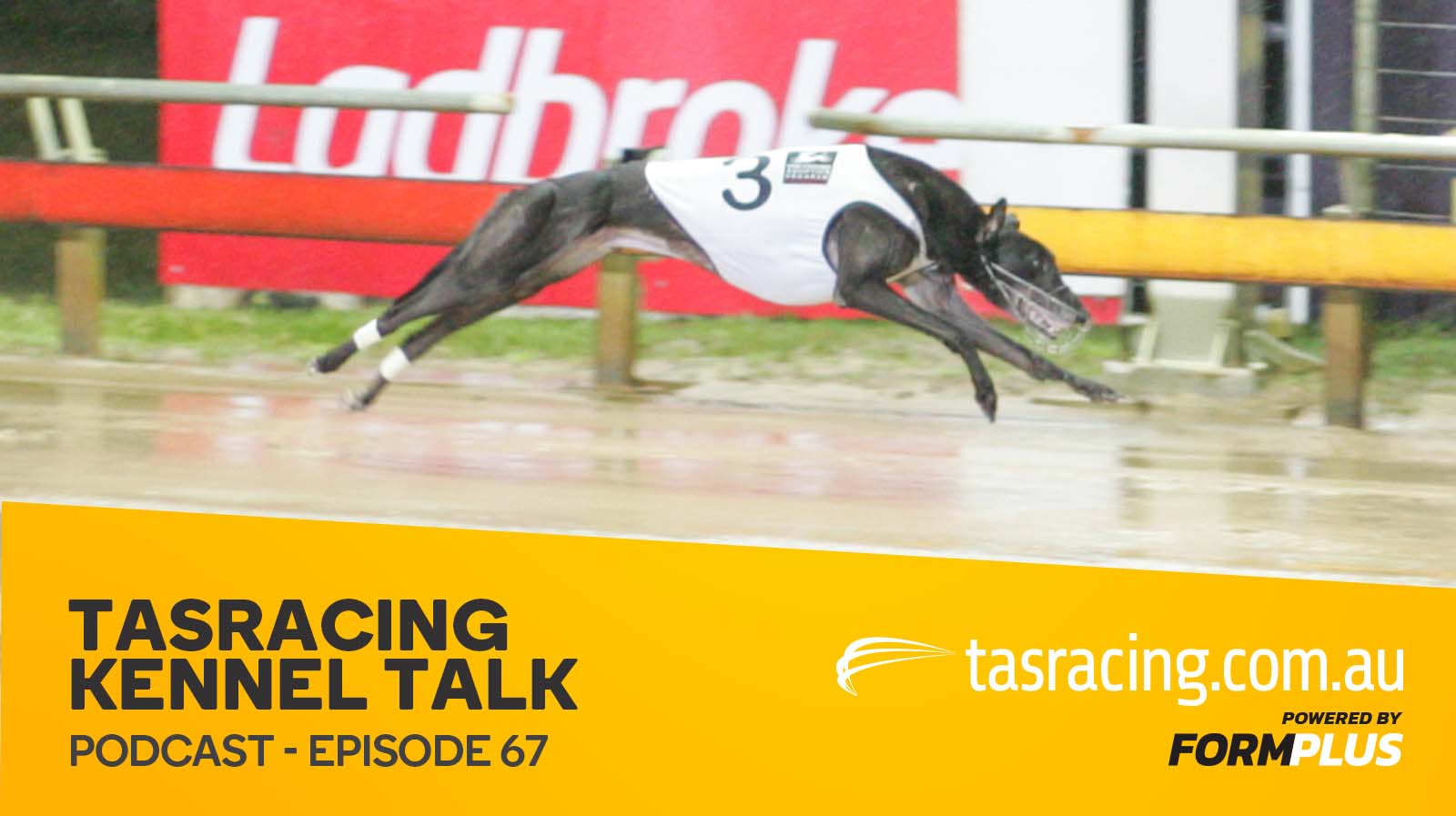 Kennel talk – episode 67