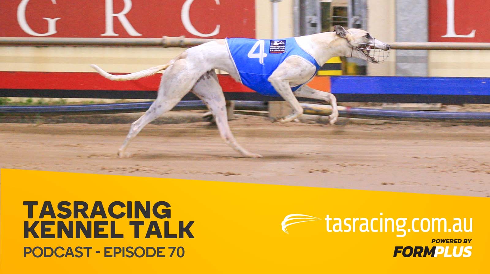 Kennel Talk – Episode 70