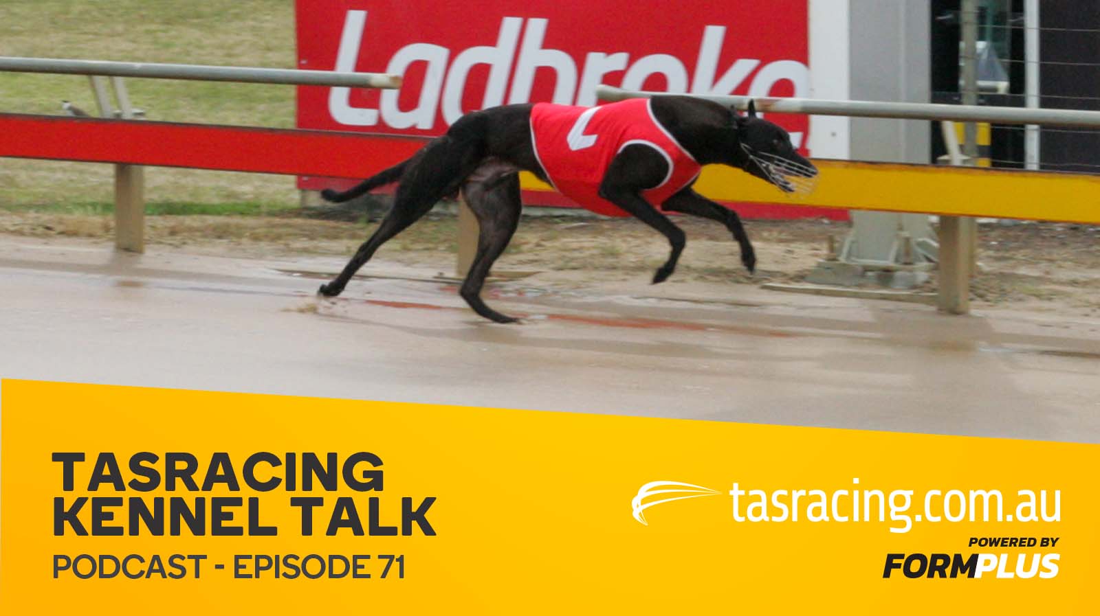 Kennel Talk – Episode 71