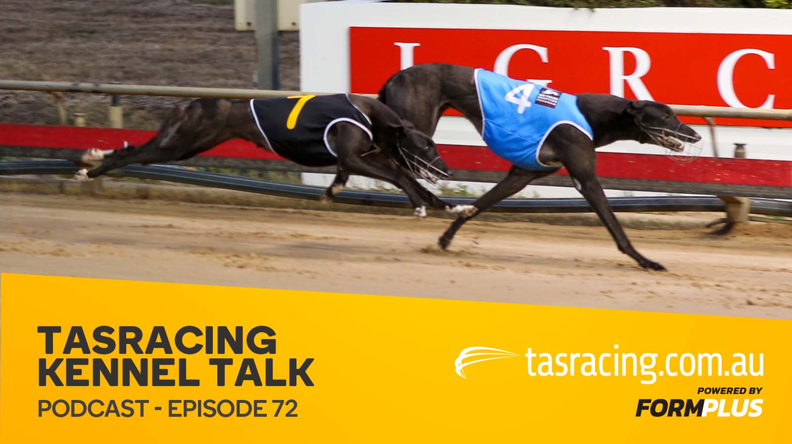 Kennel Talk – Episode 72