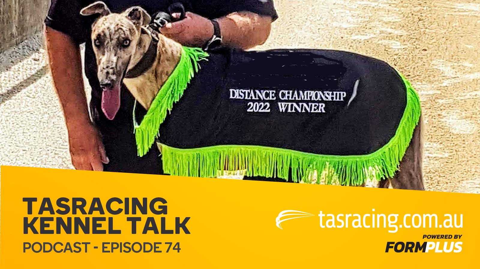 Kennel Talk – Episode 74