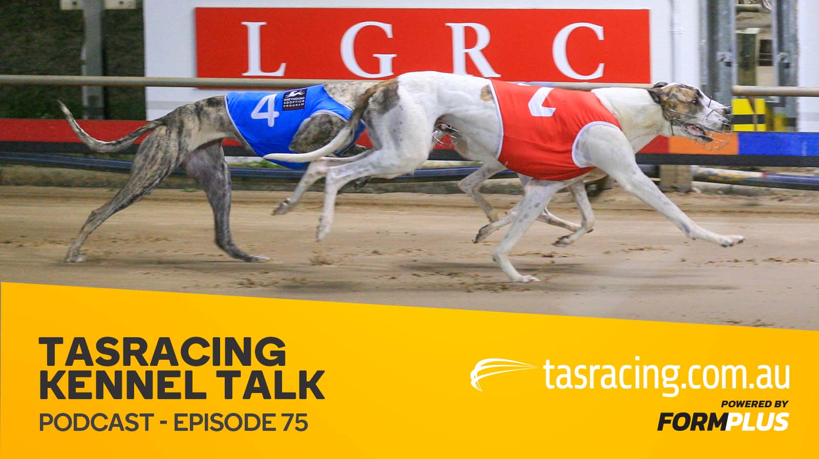Kennel Talk – Episode 75