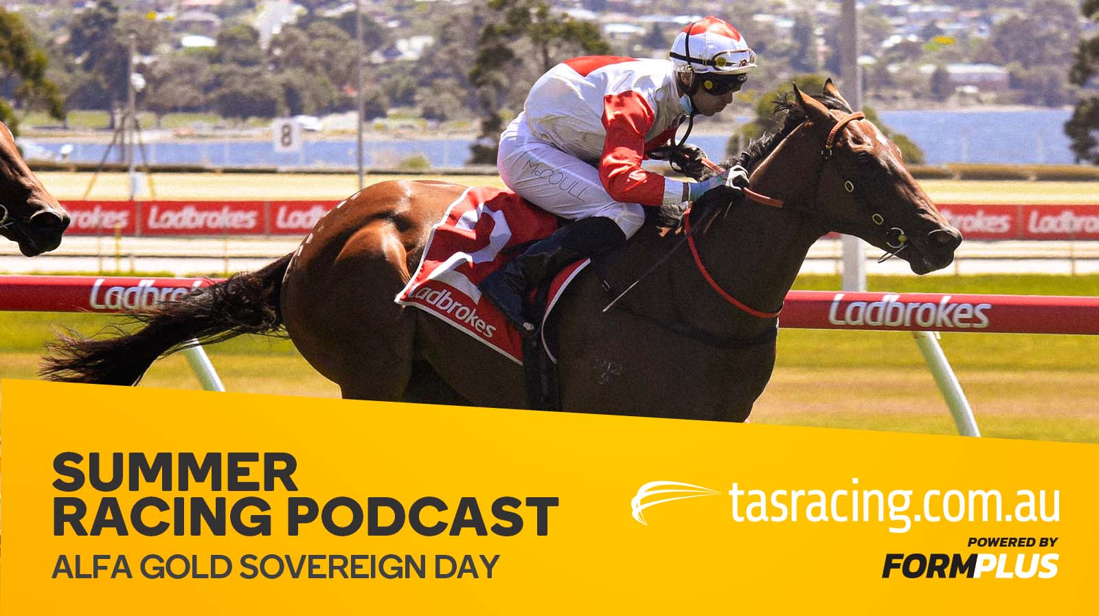 Summer Racing Podcast – Alfa Gold Sovereign Day