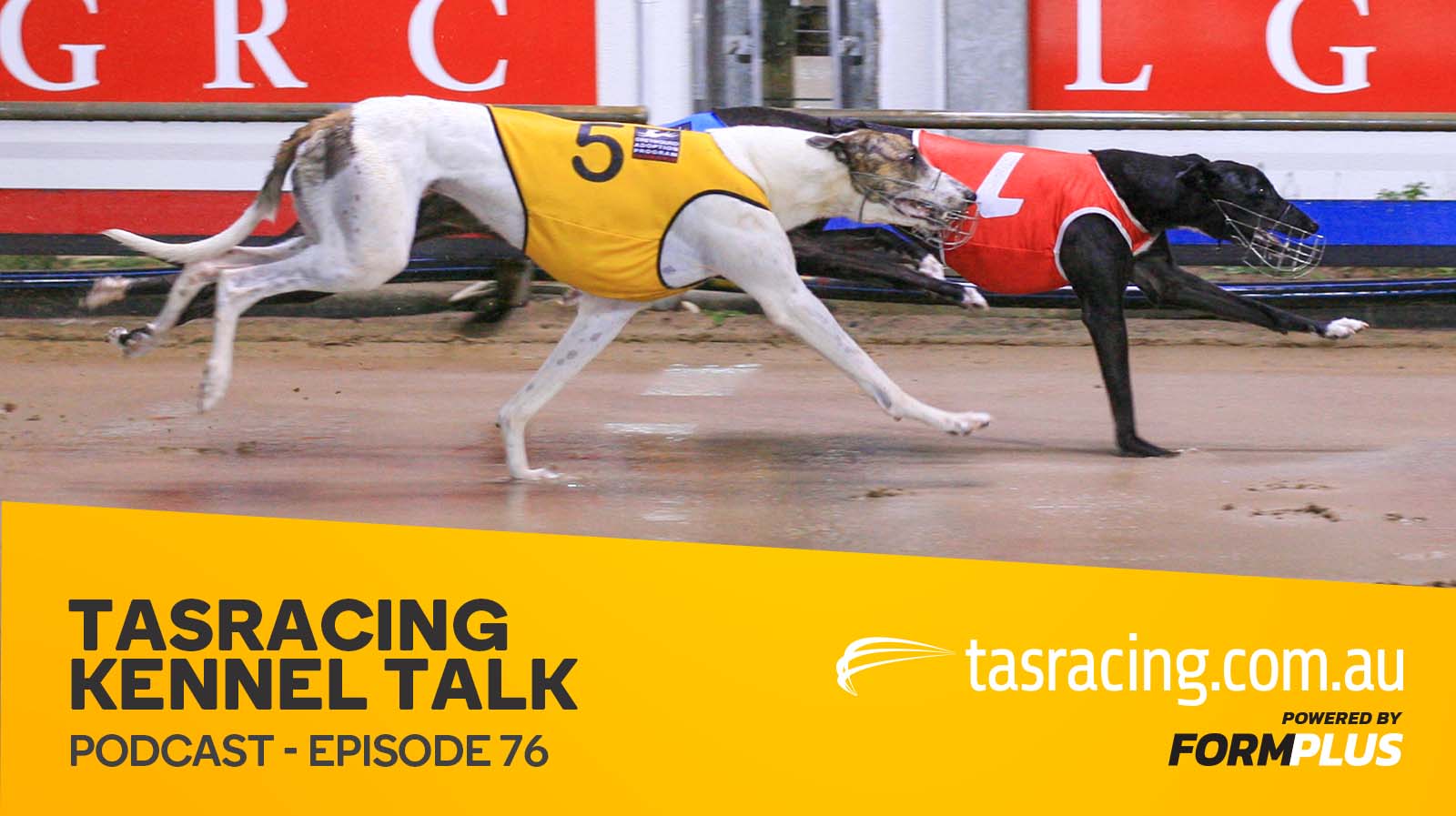 Kennel Talk – Episode 76