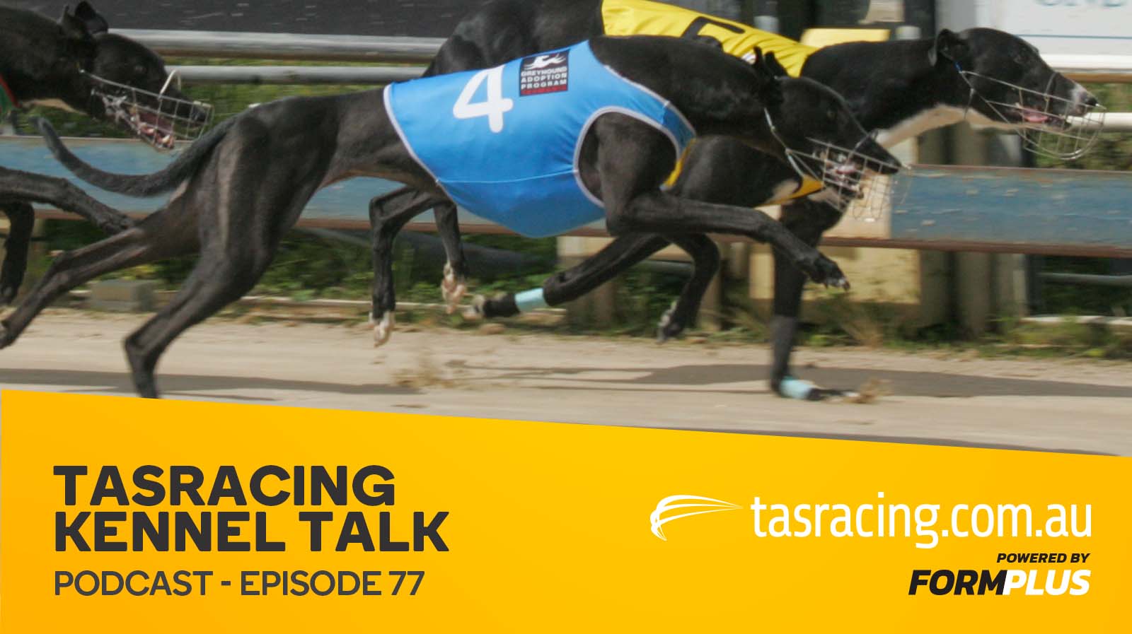 Kennel Talk – Episode 77