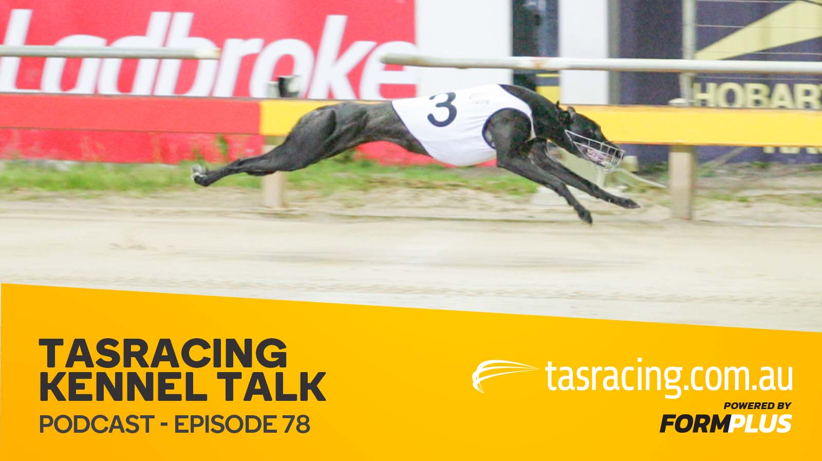 Kennel Talk – Episode 78