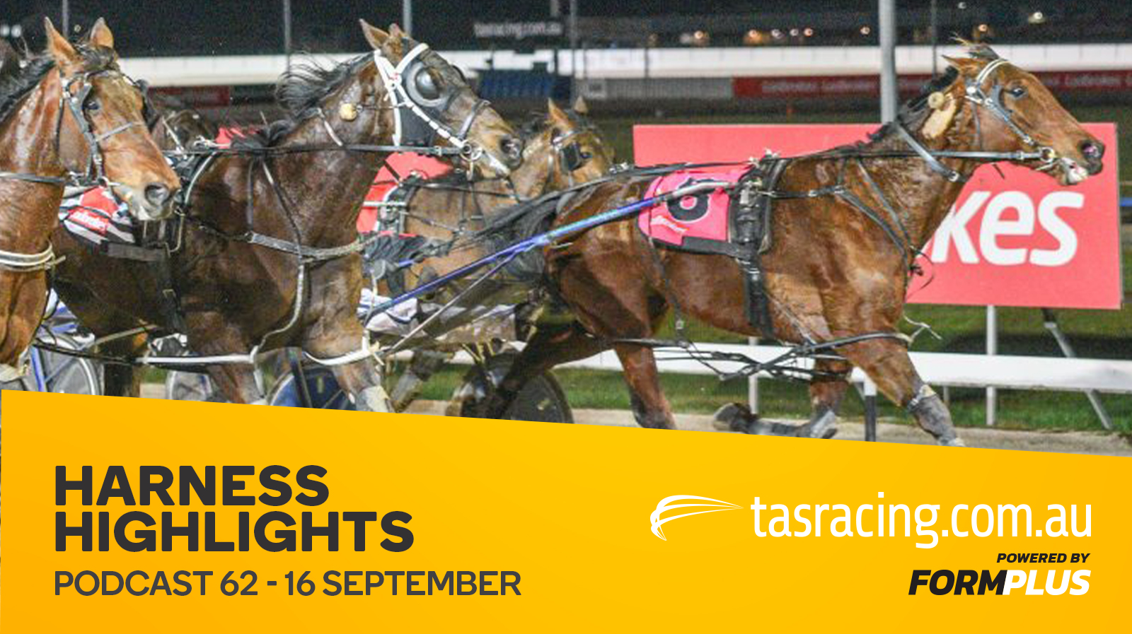 Harness Highlights Podcast – 16 September