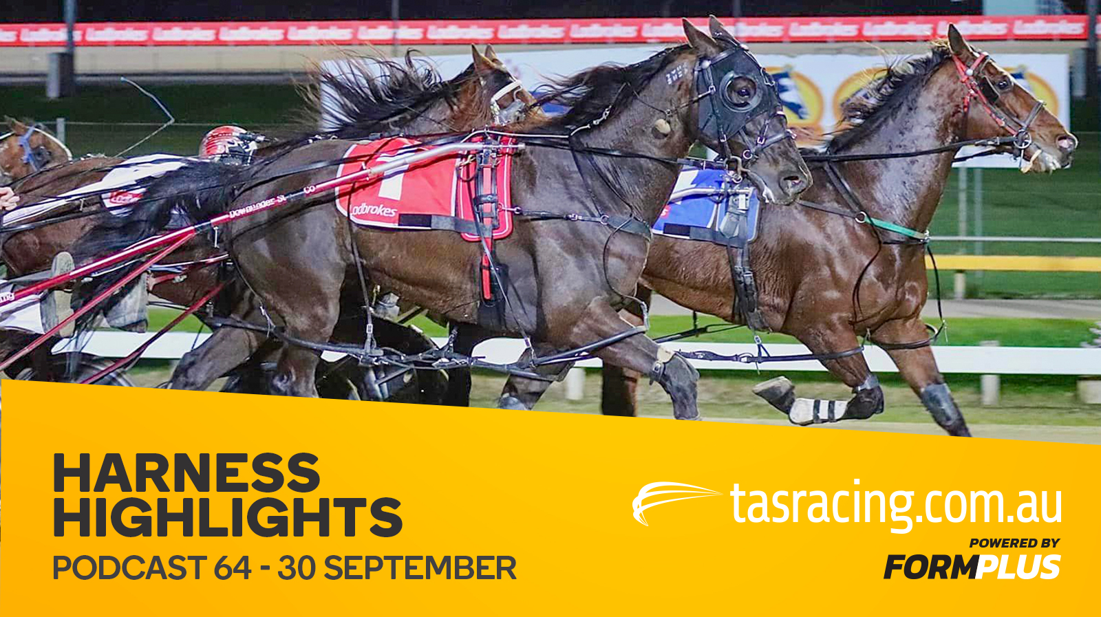 Harness Highlights Podcast – 30 September