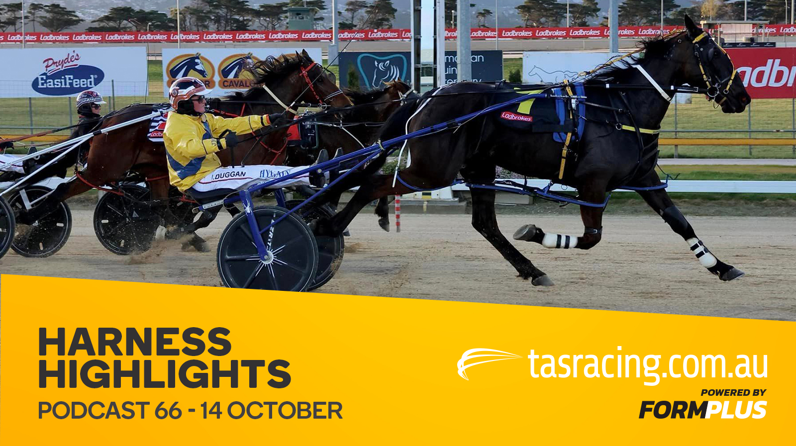Harness Highlights Podcast – 14 October