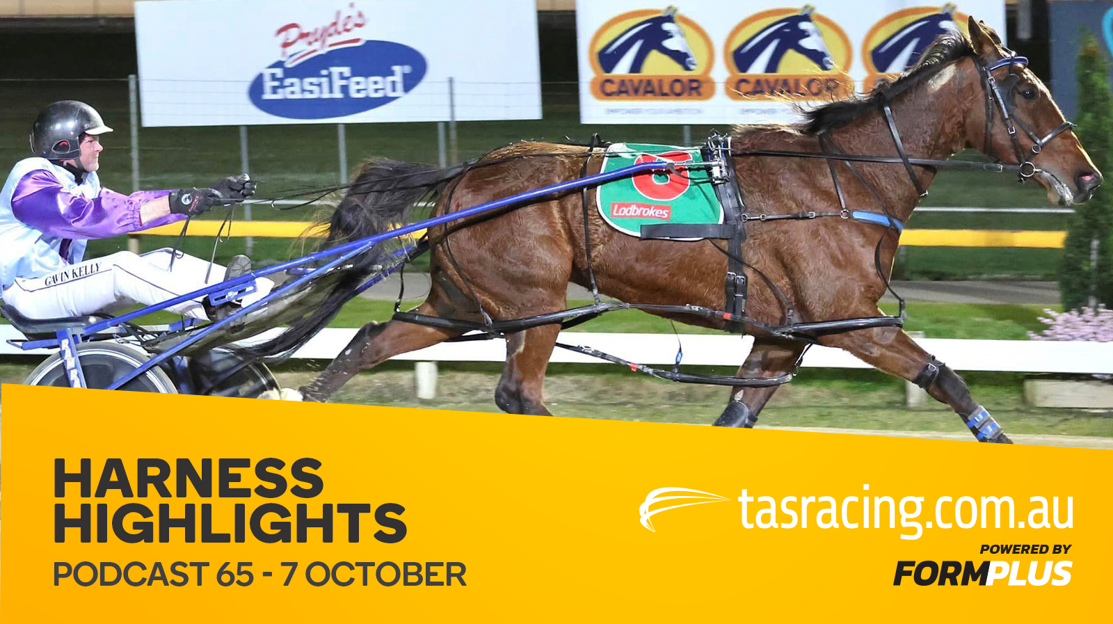 Harness Highlights Podcast – 7 October