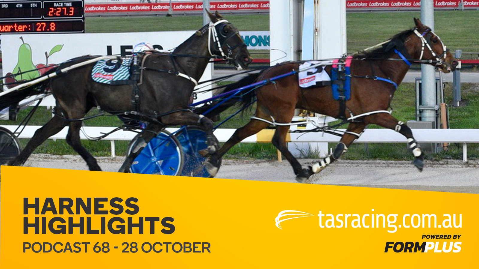 Harness Highlights Podcast – 28 October