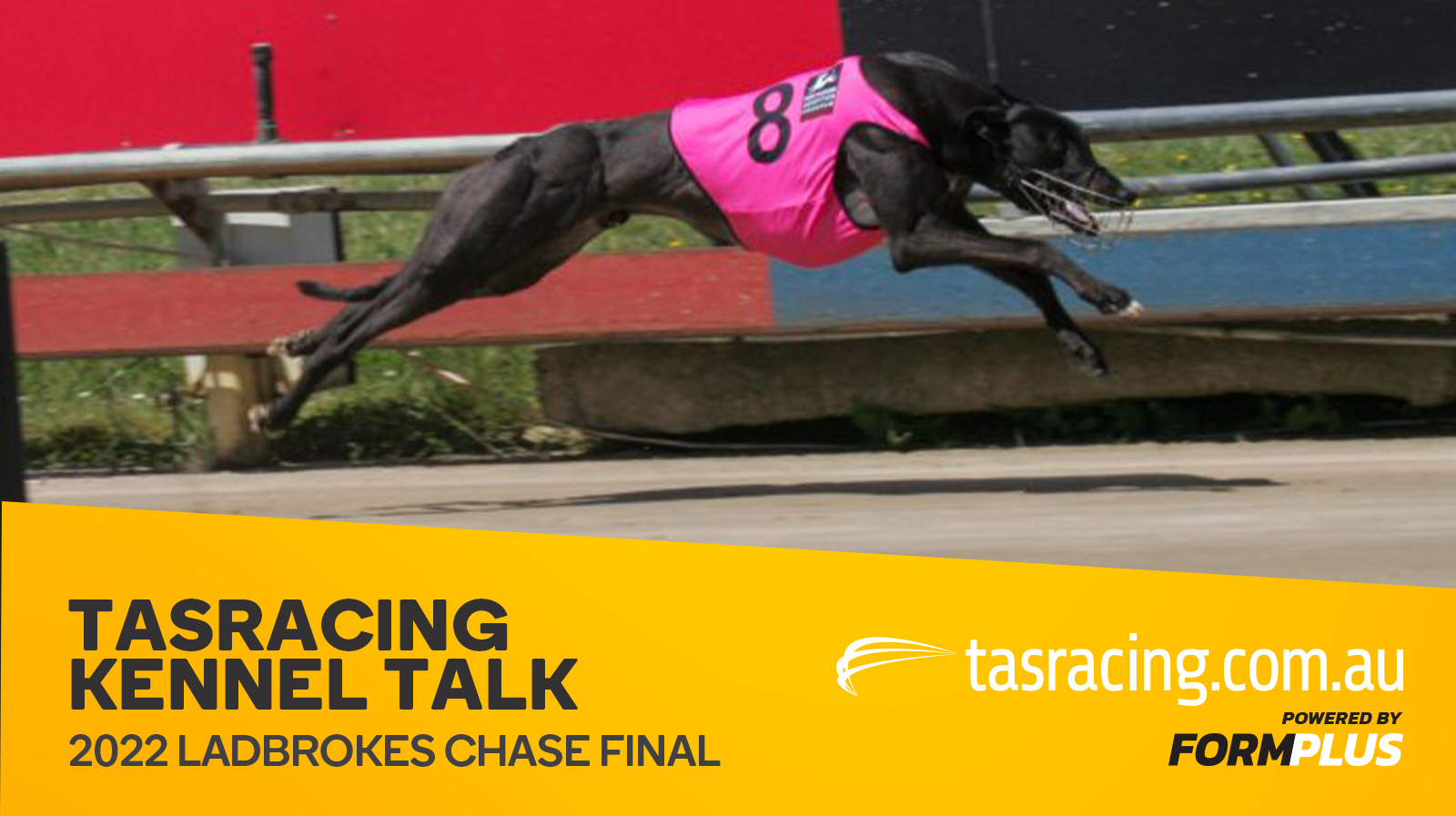 Kennel Talk – 2022 Ladbrokes Chase Final