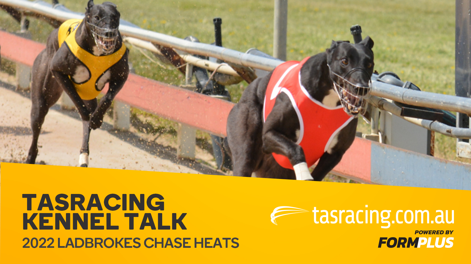 Kennel Talk – 2022 Ladbrokes Chase Heats