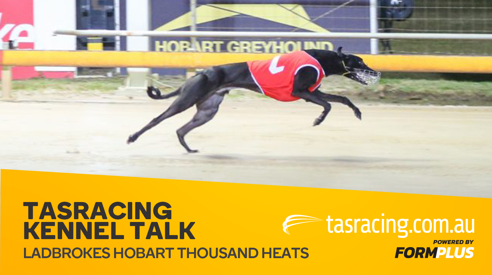 Kennel Talk – 2022 Ladbrokes Hobart Thousand heats