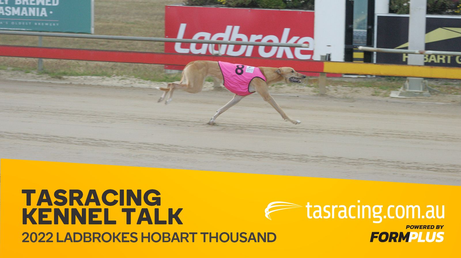 Kennel Talk – Ladbrokes Hobart Thousand Final