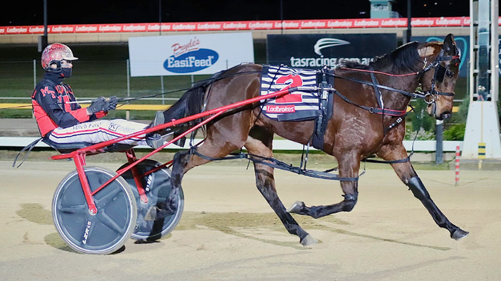 Tasmanian Harness Highlights – 24 May