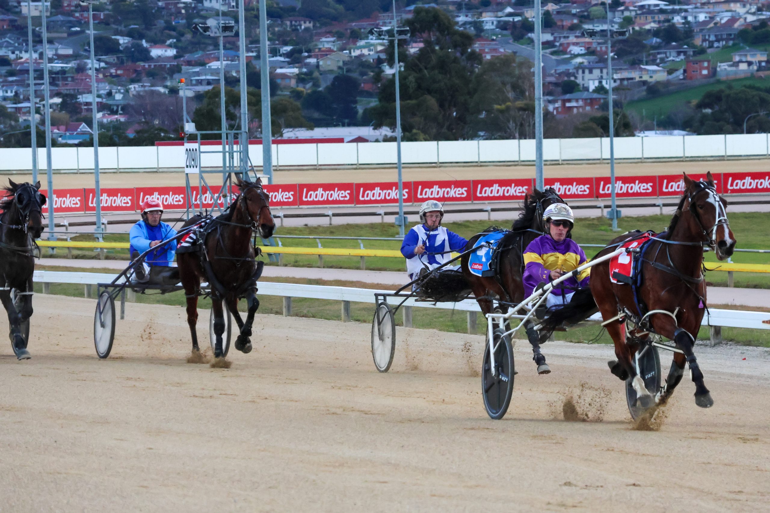 Favourites dominate Sweepstakes heats