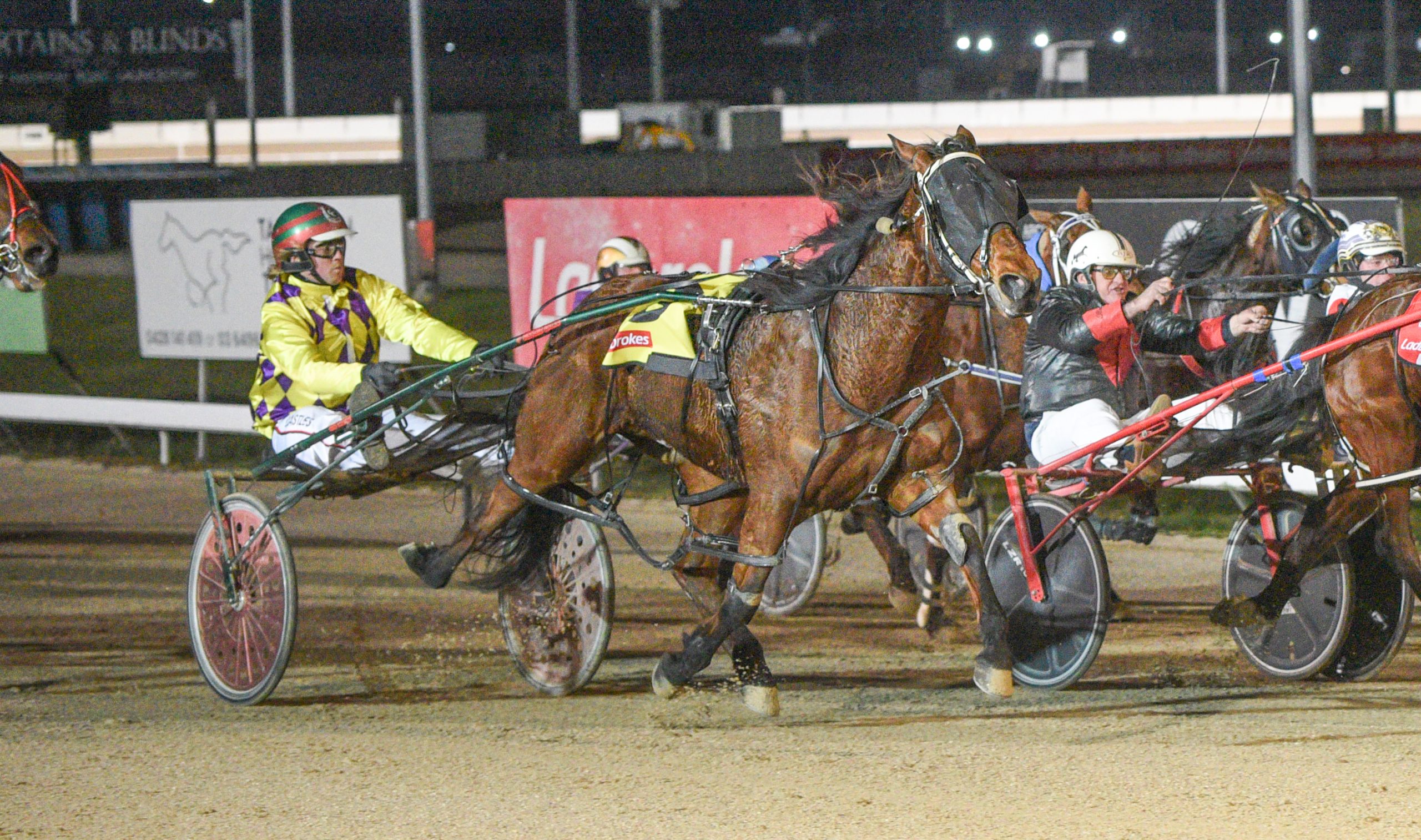 Tasmanian Harness Highlights – 16 August
