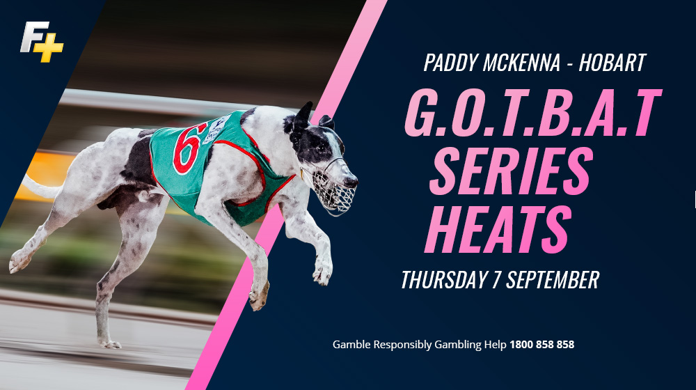 FORMPLUS Staking Strategy – Hobart, Thursday 7 September