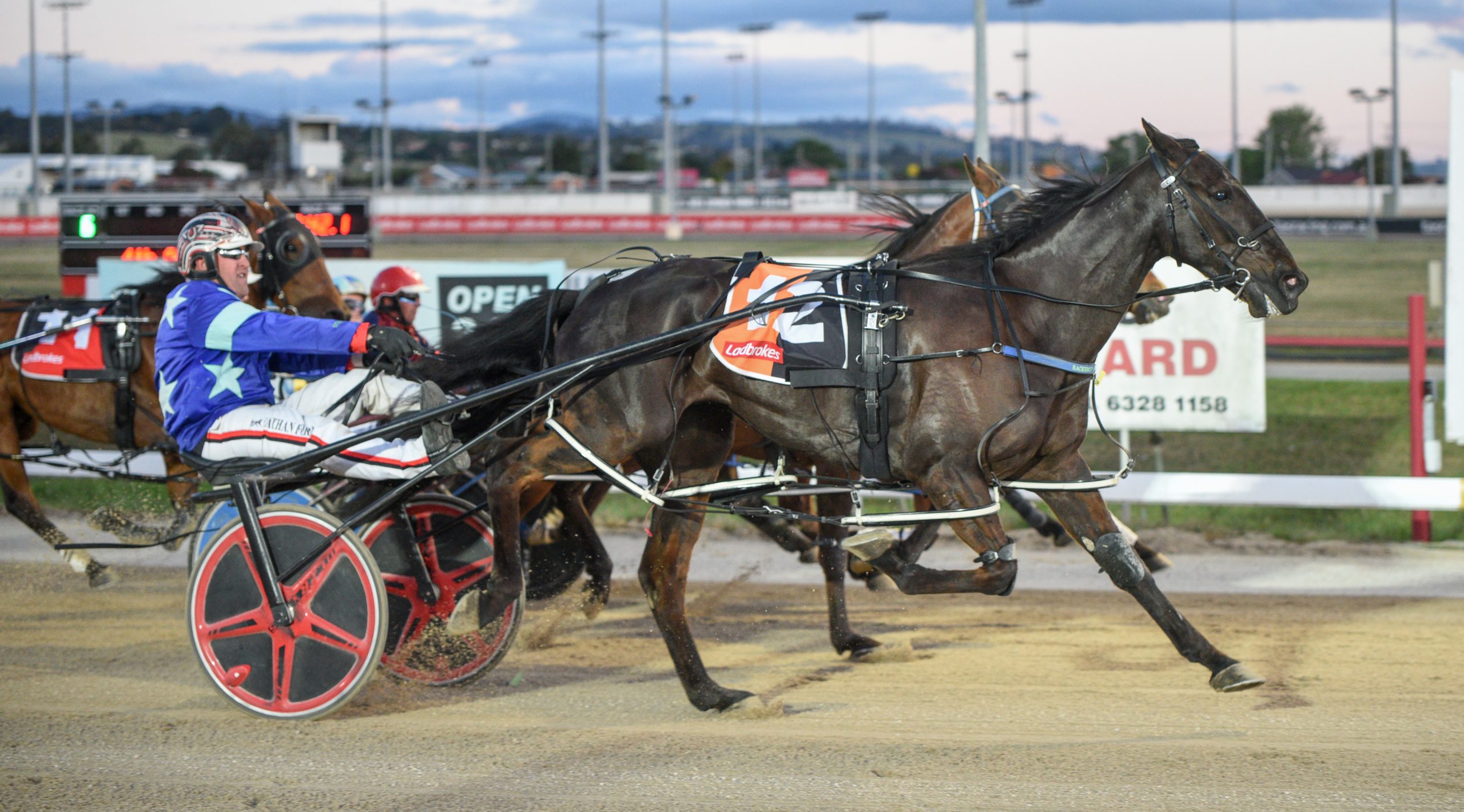 Tasmanian Harness Highlights – 15 November