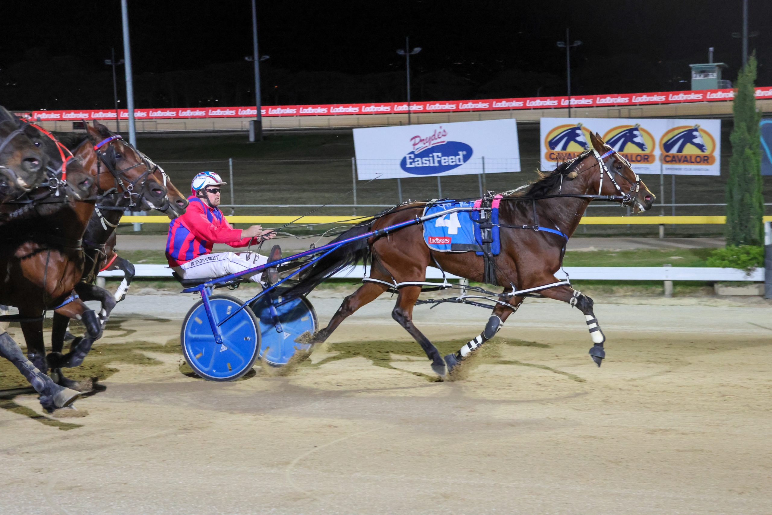 Tasmanian Harness Highlights – 18 April