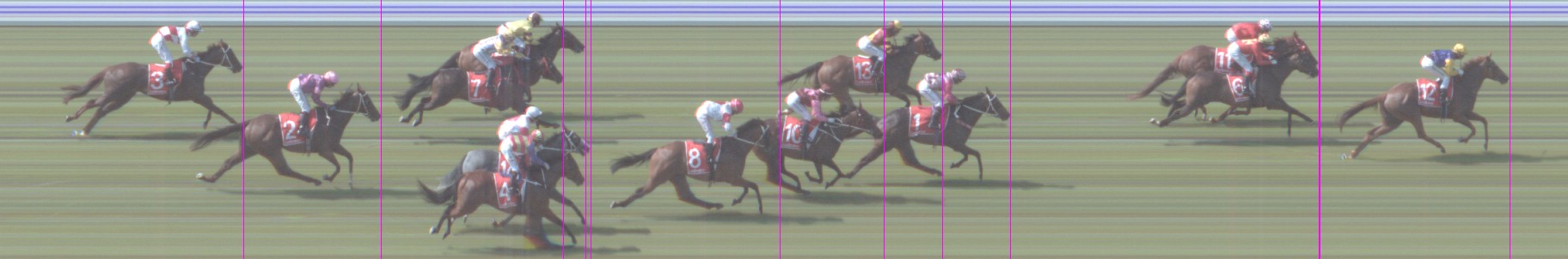 Thoroughbred Form Guide - Tasracing FORMPLUS | Data driven